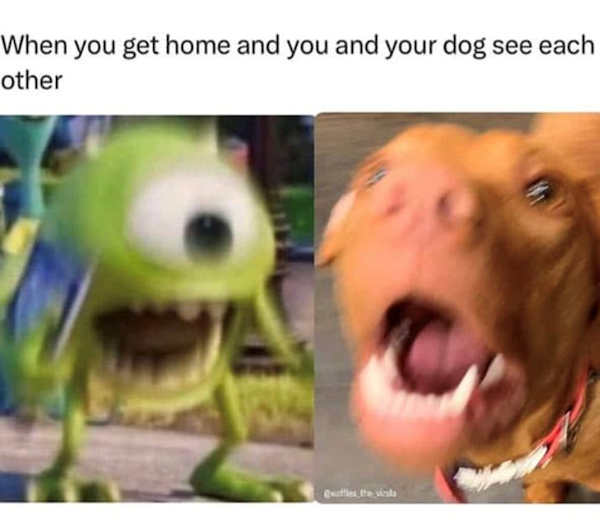 Memes For Dog Lovers (23 pics)