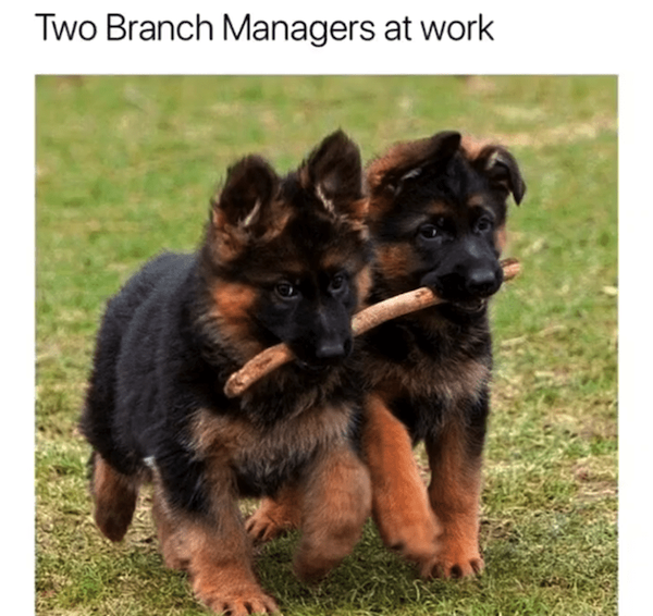 Memes For Dog Lovers (23 pics)