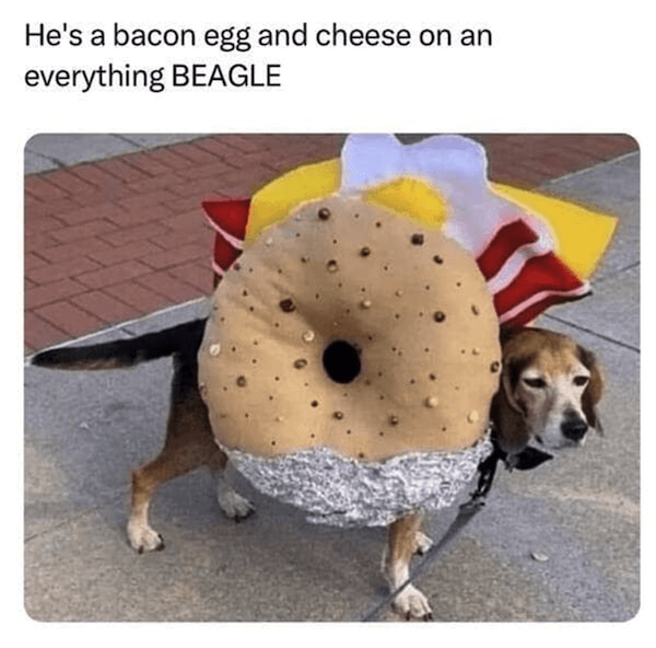 Memes For Dog Lovers (23 pics)