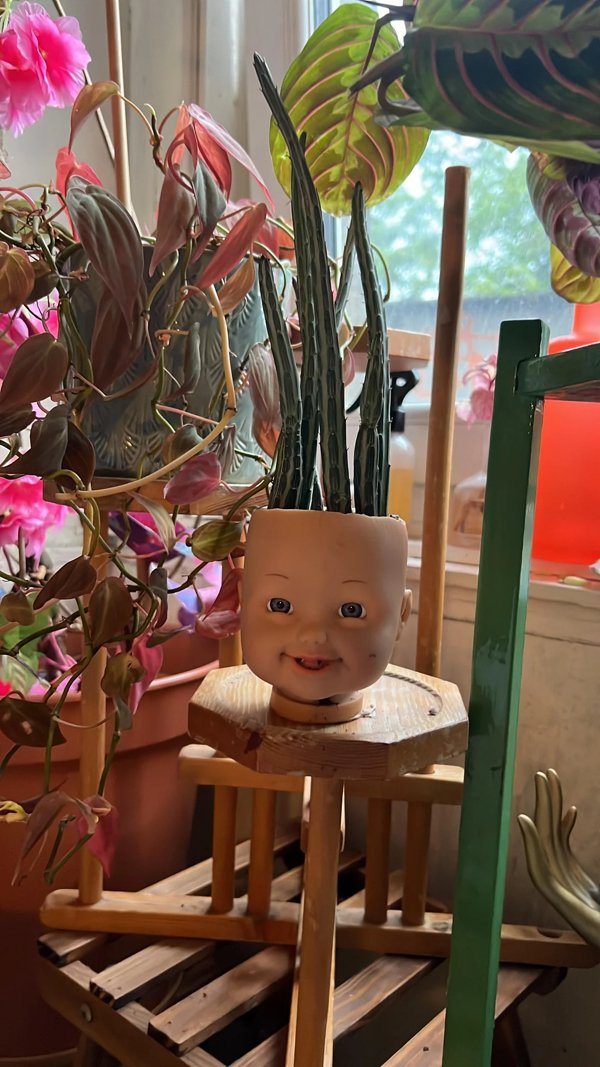 Weird Finds (22 pics)