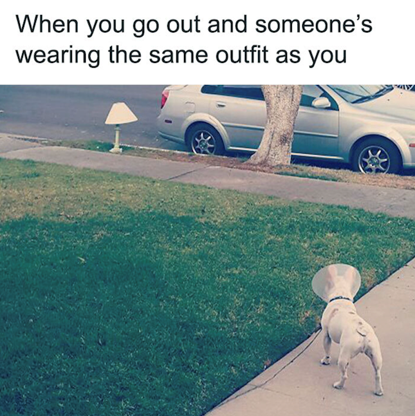 Memes For Dog Lovers (23 pics)