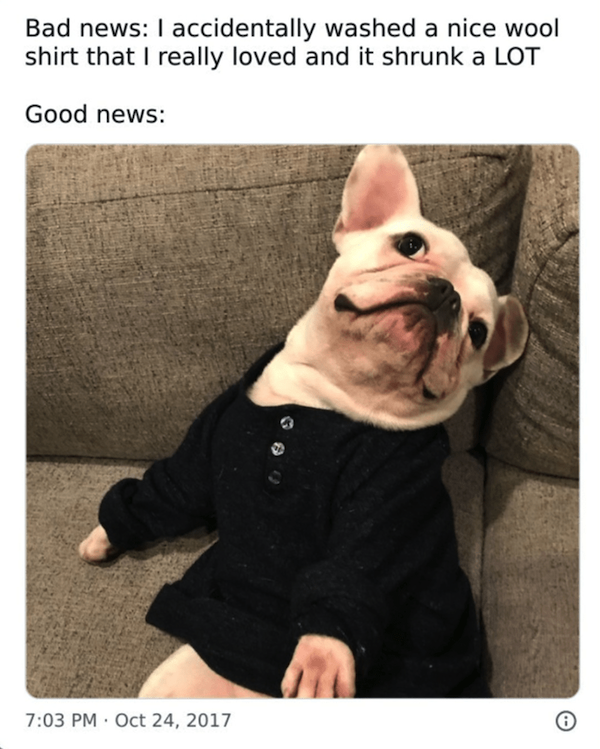 Memes For Dog Lovers (23 pics)