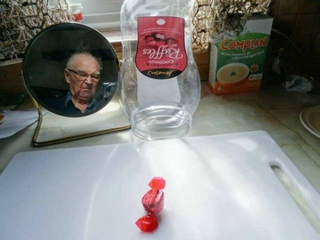 Hilarious Finds And Situations (49 pics)