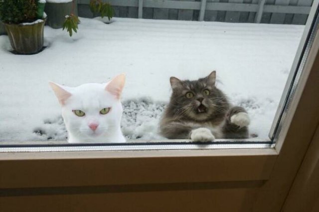Hilarious Finds And Situations (49 pics)