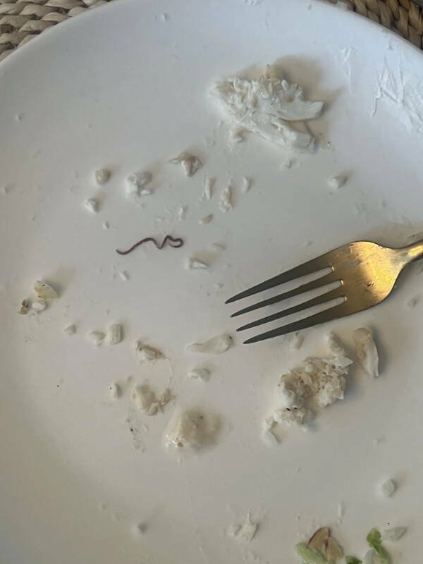 Bad Days Happen (20 pics)