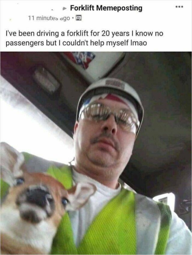 Hilarious Finds And Situations (49 pics)