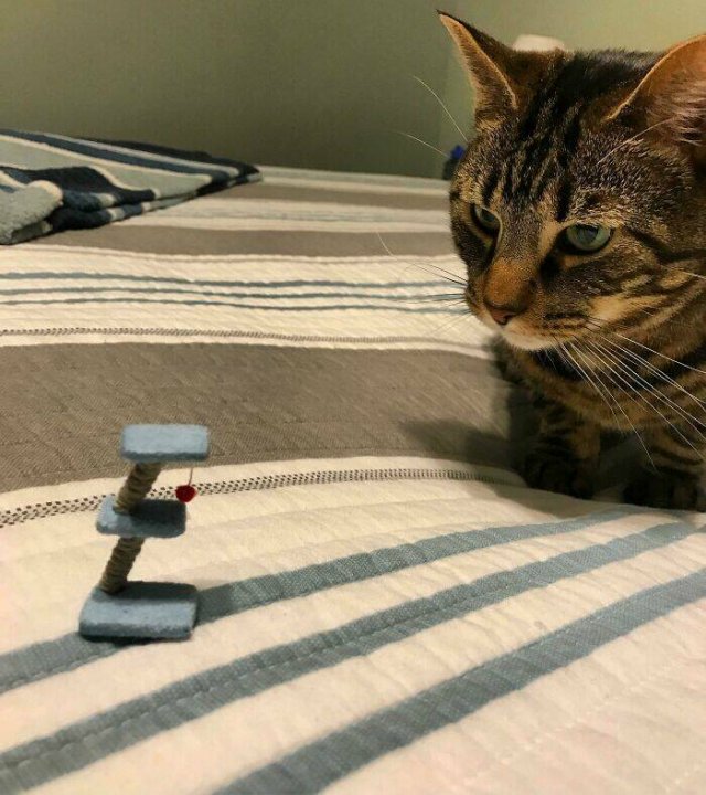 Hilarious Finds And Situations (49 pics)