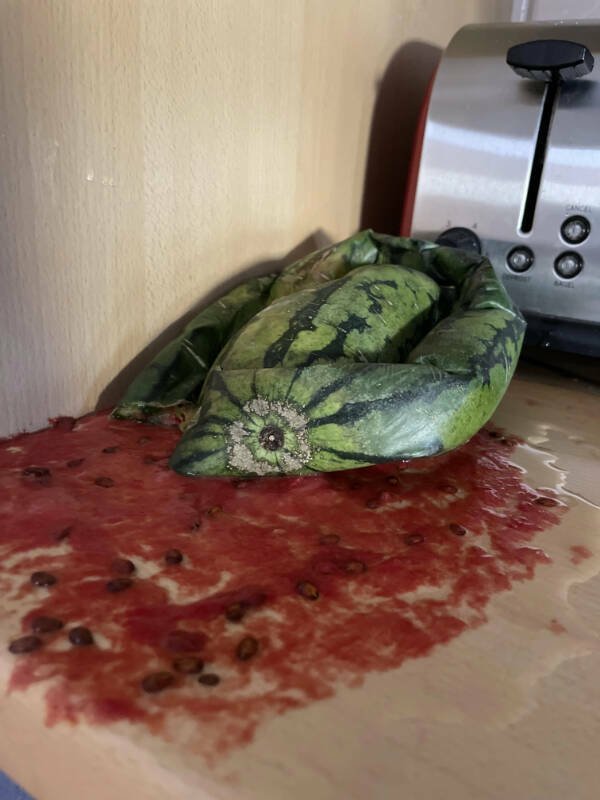 Bad Days Happen (20 pics)