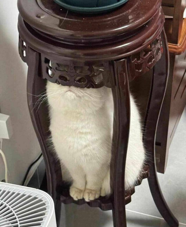 Hilarious Finds And Situations (49 pics)