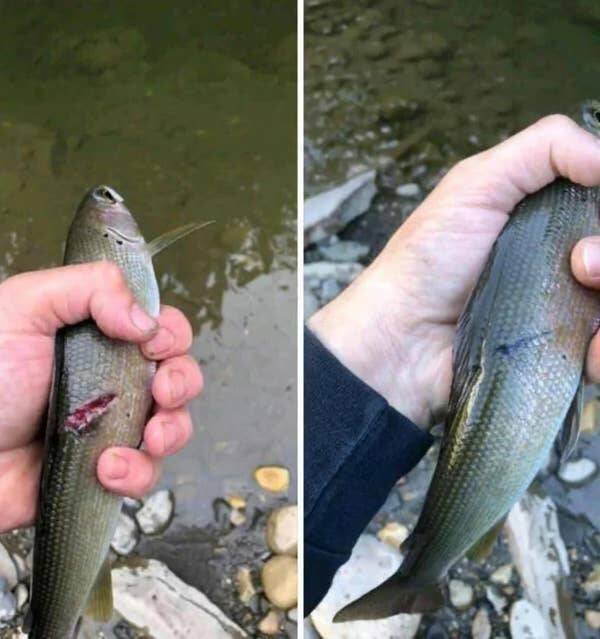 Unexpected Coincidences (19 pics)