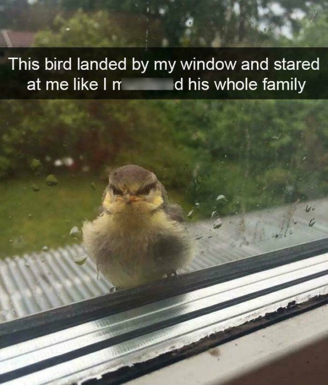 Hilarious Finds And Situations (49 pics)