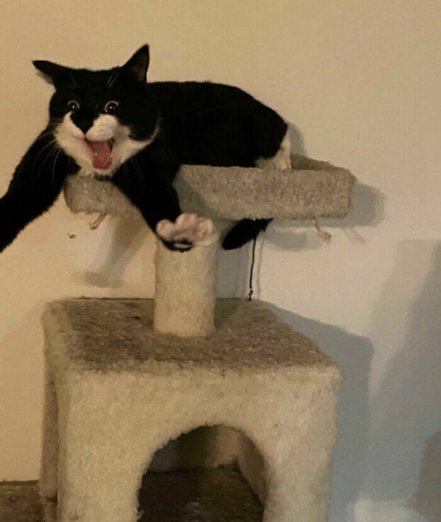 Hilarious Finds And Situations (49 pics)