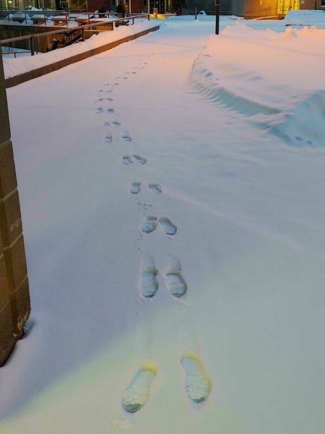 Hilarious Finds And Situations (49 pics)
