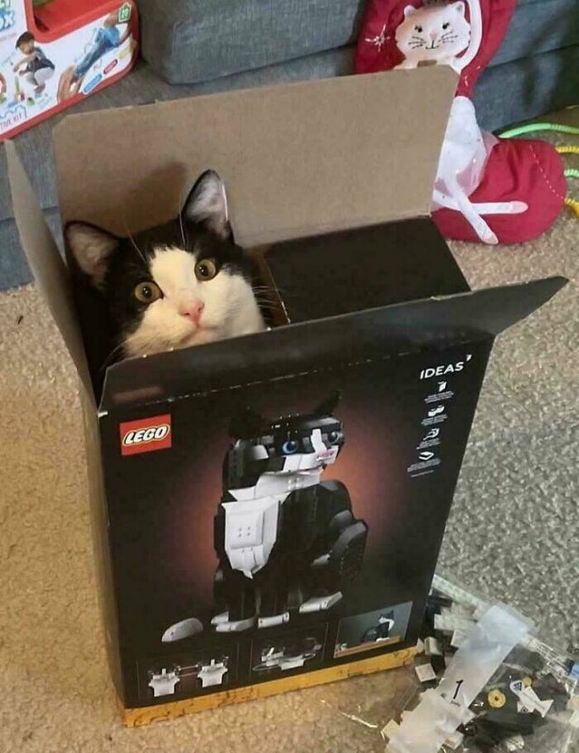 Hilarious Finds And Situations (49 pics)