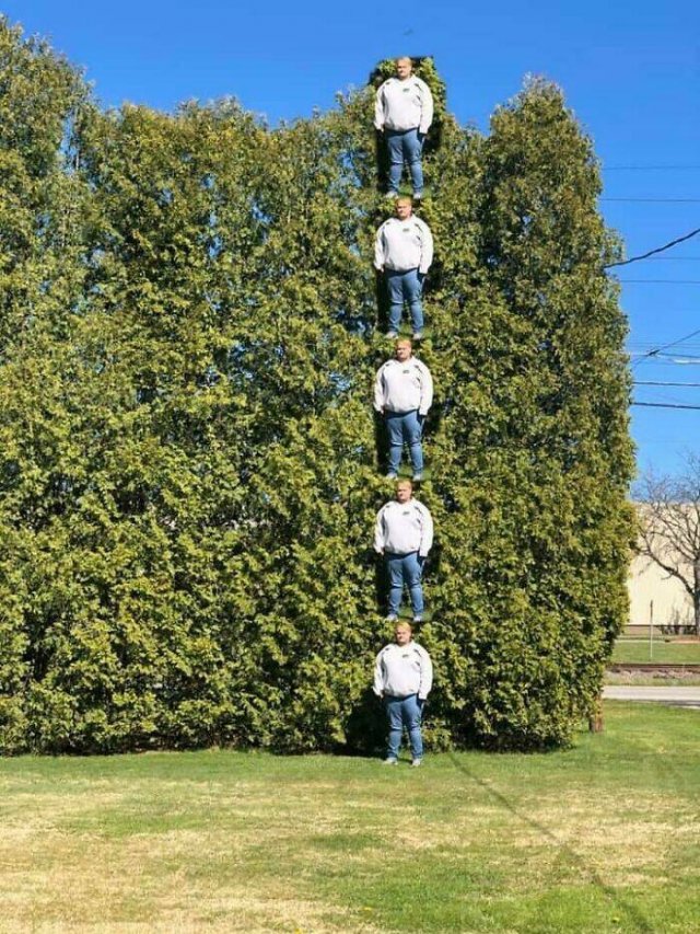 Hilarious Finds And Situations (49 pics)