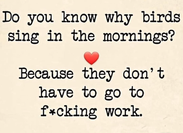 Funny Memes (33 pics)