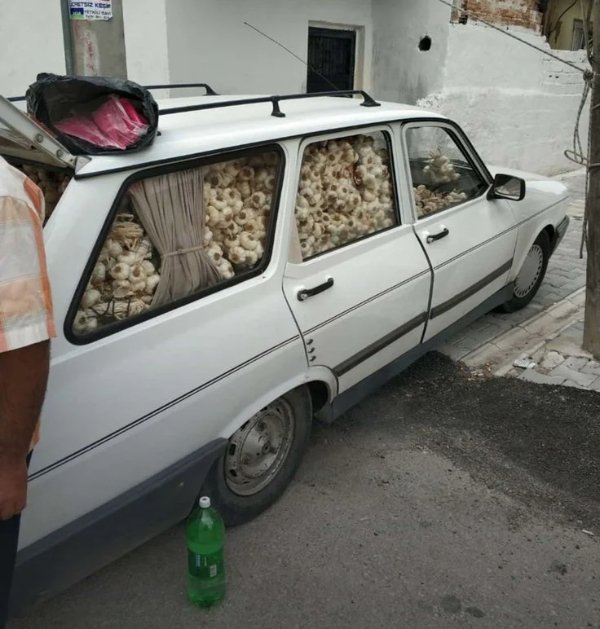 What Is Going On Here? (29 pics)