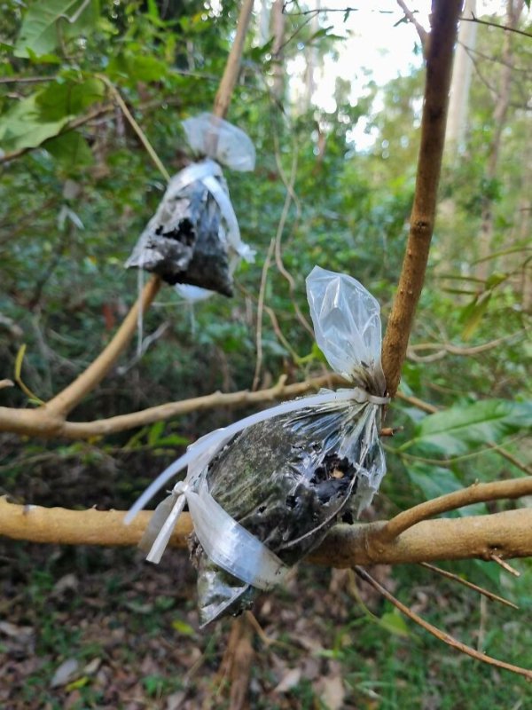 What Are These Things? (25 pics)