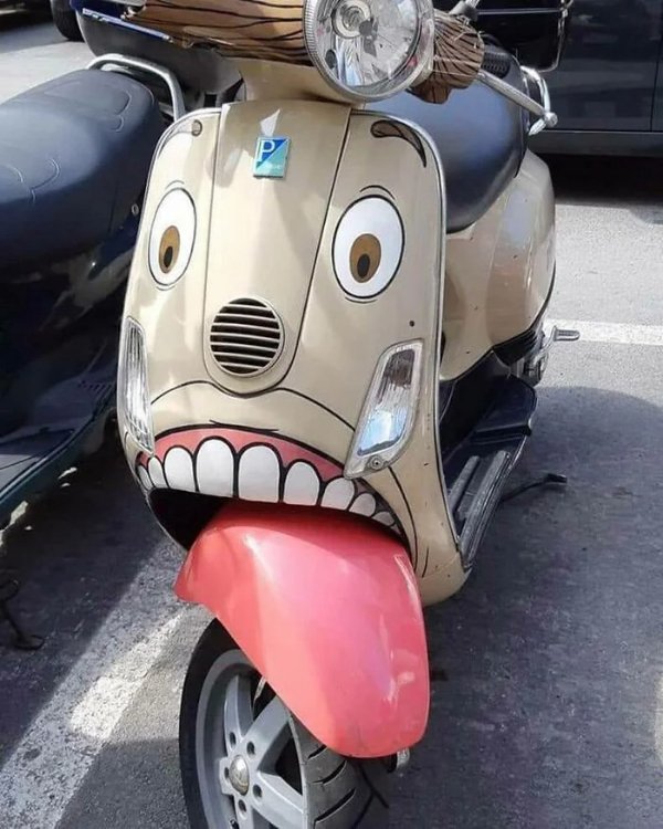 What Is Going On Here? (29 pics)
