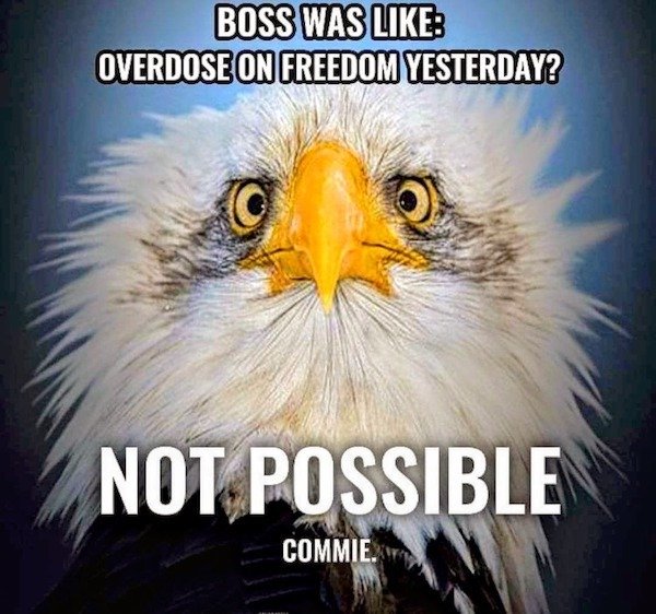 Funny Memes (33 pics)