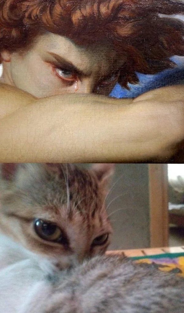 What Is Going On Here? (29 pics)