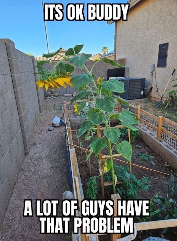 Funny Memes (33 pics)