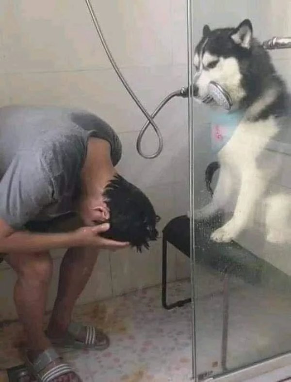 What Is Going On Here? (29 pics)