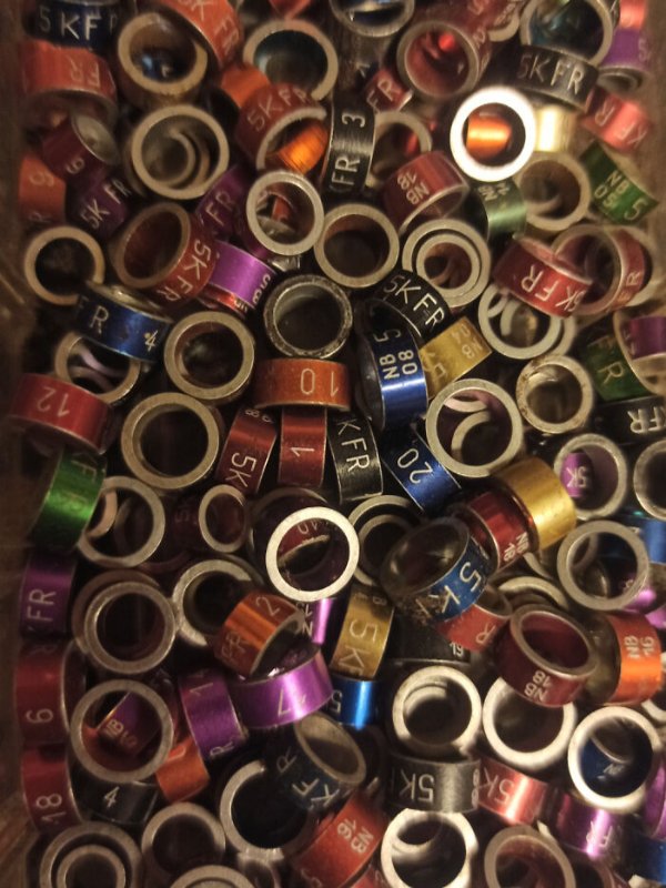 What Are These Things? (25 pics)