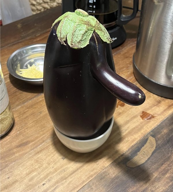 Interesting Finds (24 pics)