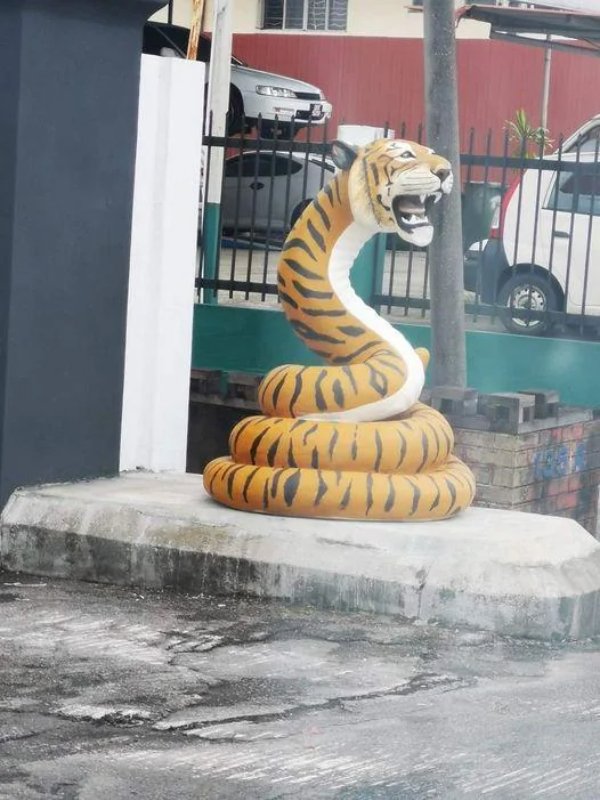 What Is Going On Here? (29 pics)