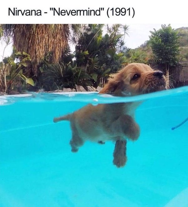 Funny Memes (33 pics)