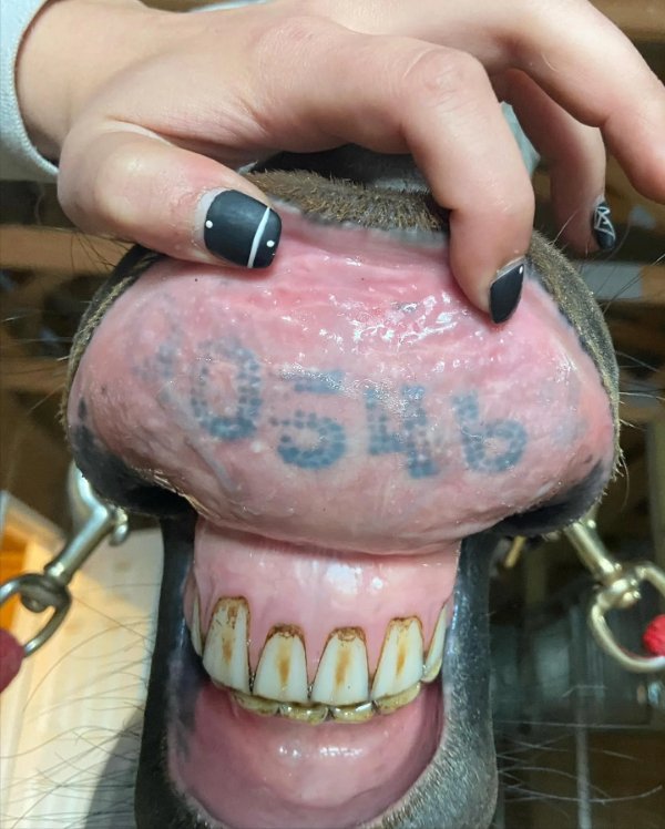 Interesting Finds (24 pics)