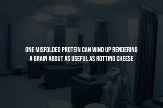 Scary Facts (15 pics) Scary Facts (15 pics)