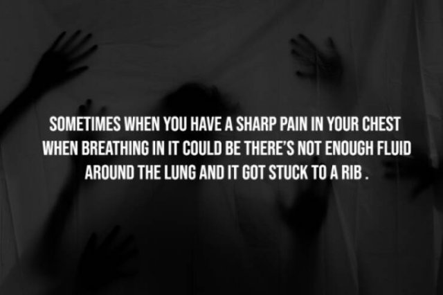 Scary Facts (15 pics) Scary Facts (15 pics)