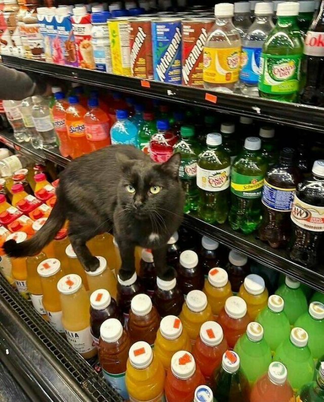Interesting Photos From Around The World (22 pics)