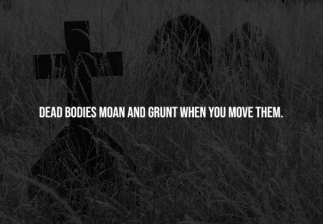 Scary Facts (15 pics)