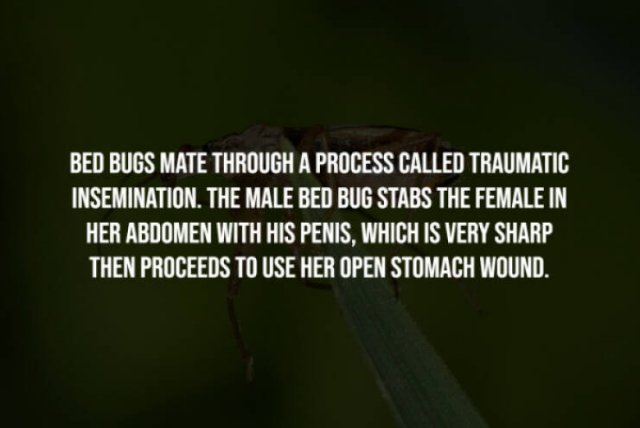 Scary Facts (15 pics) Scary Facts (15 pics)