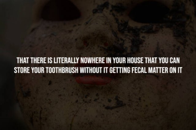 Scary Facts (15 pics) Scary Facts (15 pics)