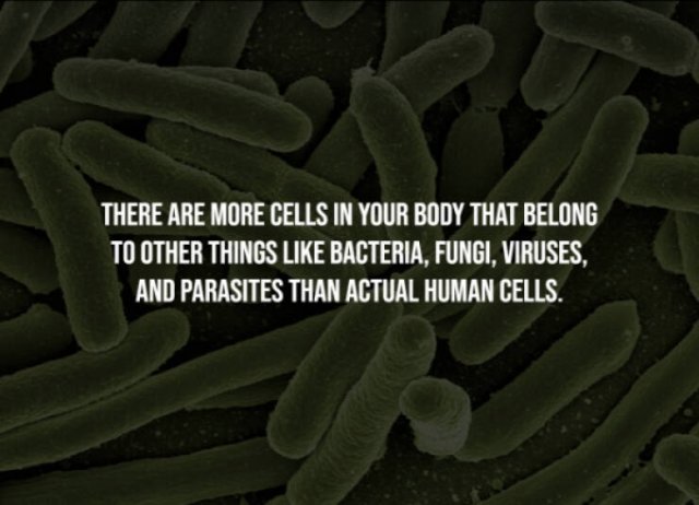 Scary Facts (15 pics) Scary Facts (15 pics)