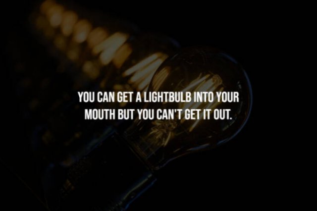 Scary Facts (15 pics) Scary Facts (15 pics)