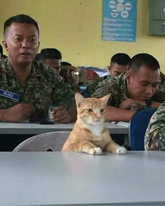 Interesting Photos From Around The World (22 pics)