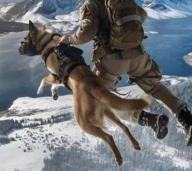 Interesting Photos From Around The World (22 pics)