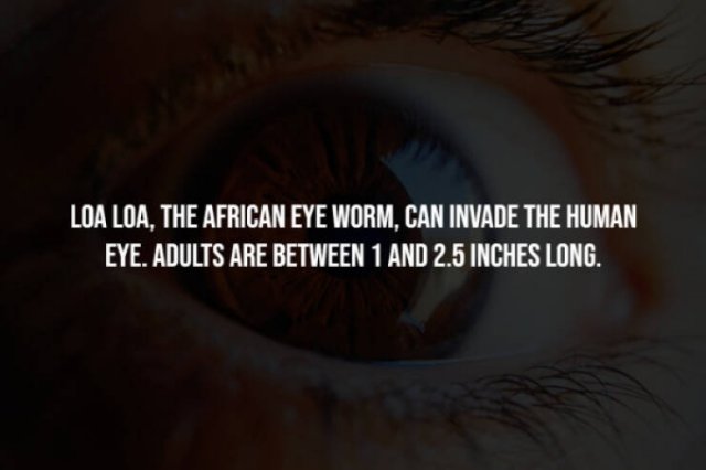 Scary Facts (15 pics) Scary Facts (15 pics)