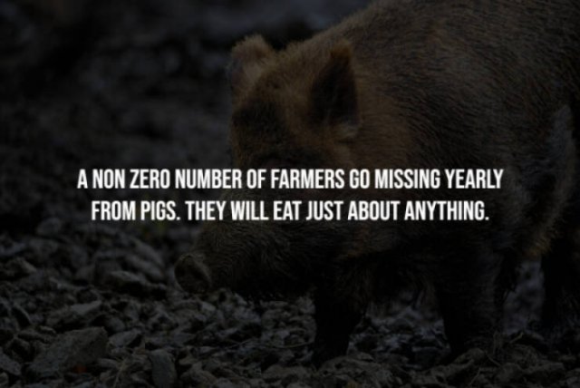 Scary Facts (15 pics) Scary Facts (15 pics)