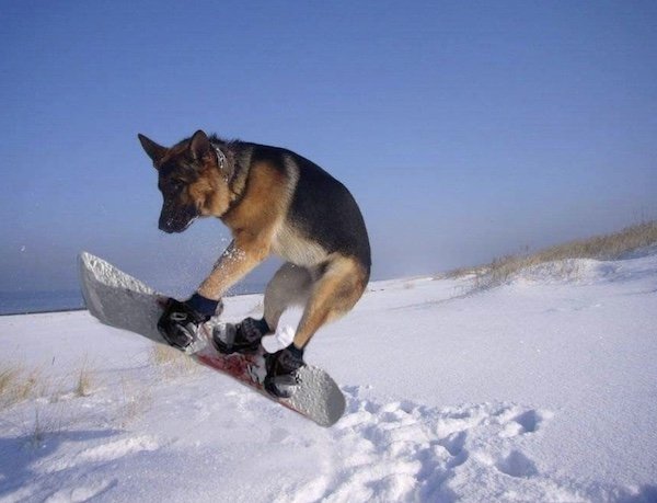 Crazy And Funny Photoshop (27 pics)