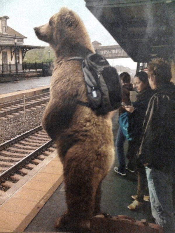 Crazy And Funny Photoshop (27 pics)