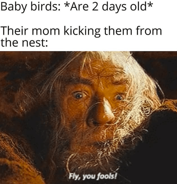 Memes For Movie Fans (32 pics)