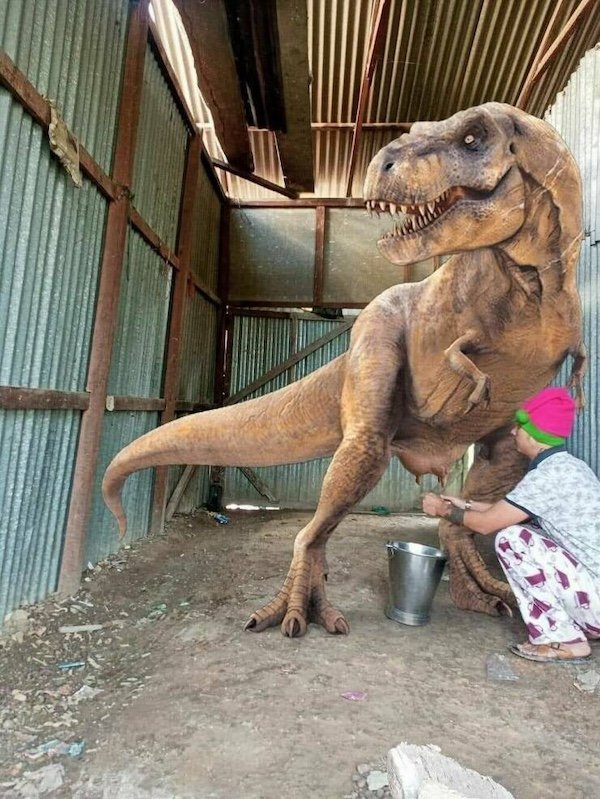 Crazy And Funny Photoshop (27 pics)