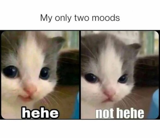 Funny Memes (27 pics)