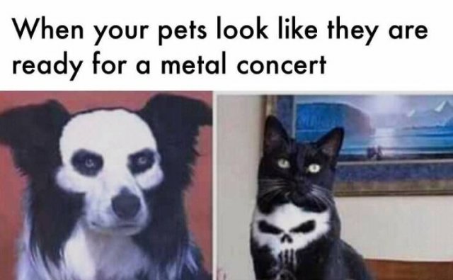 Funny Memes (27 pics)